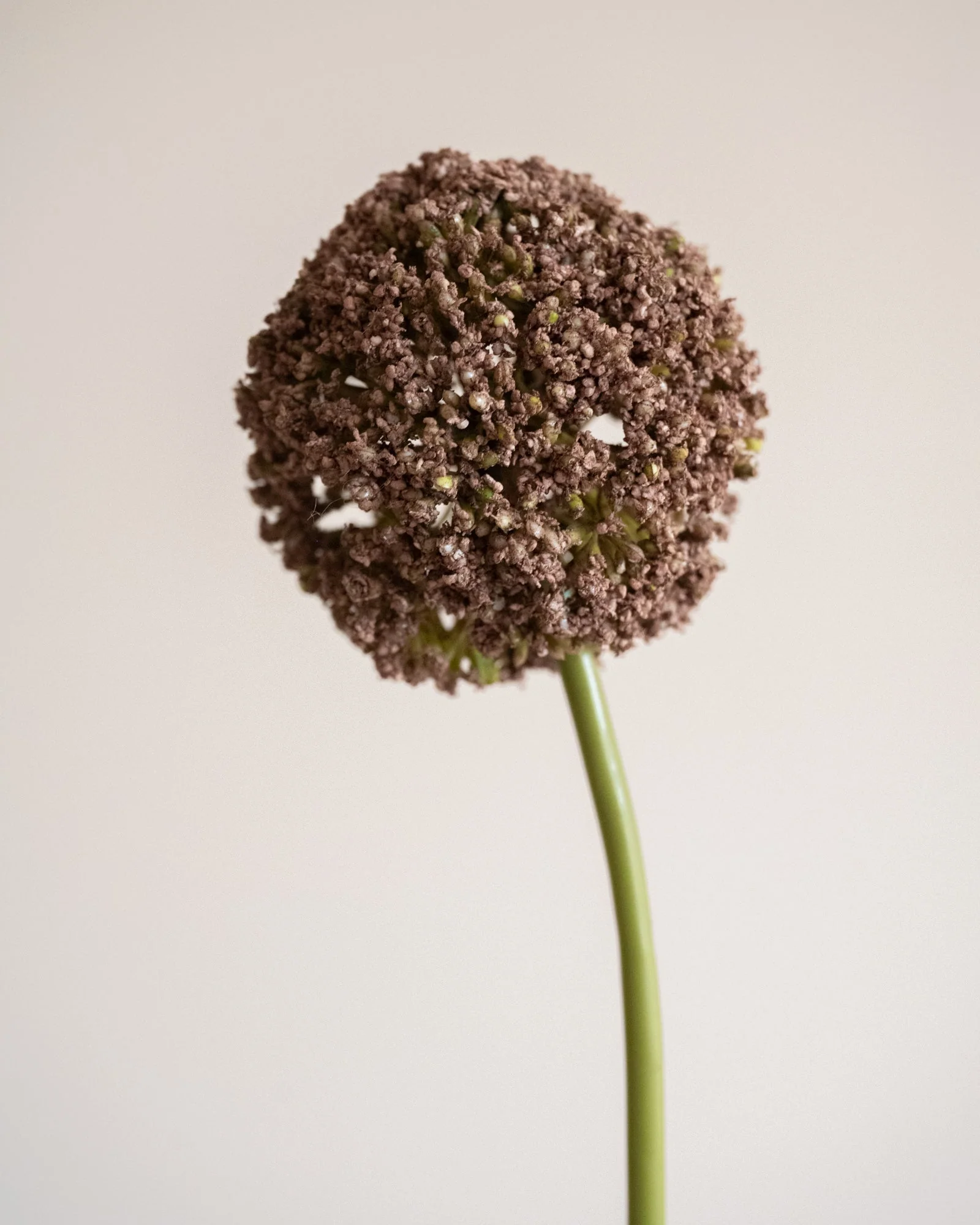 Miniatuur 4