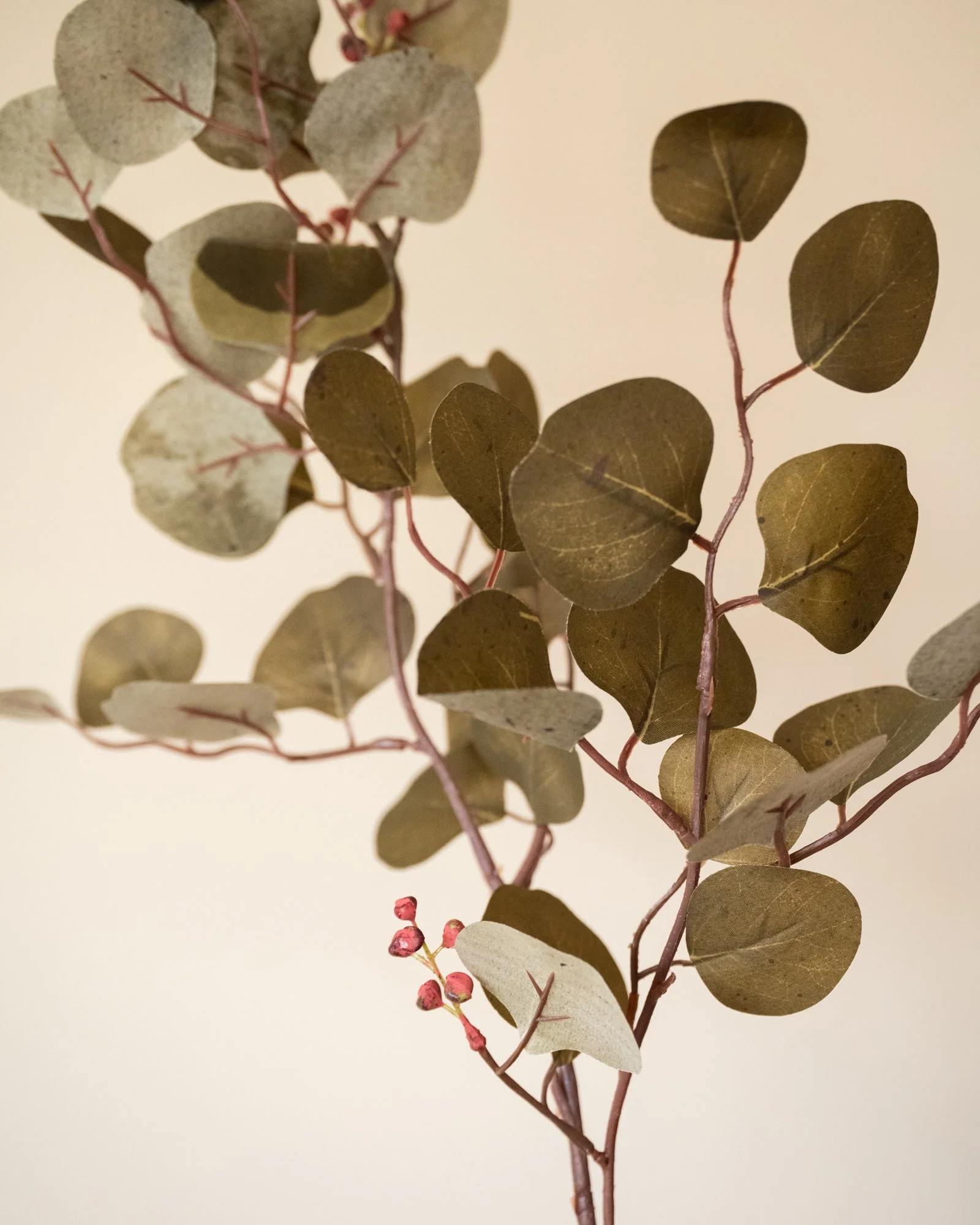 Miniatuur 3