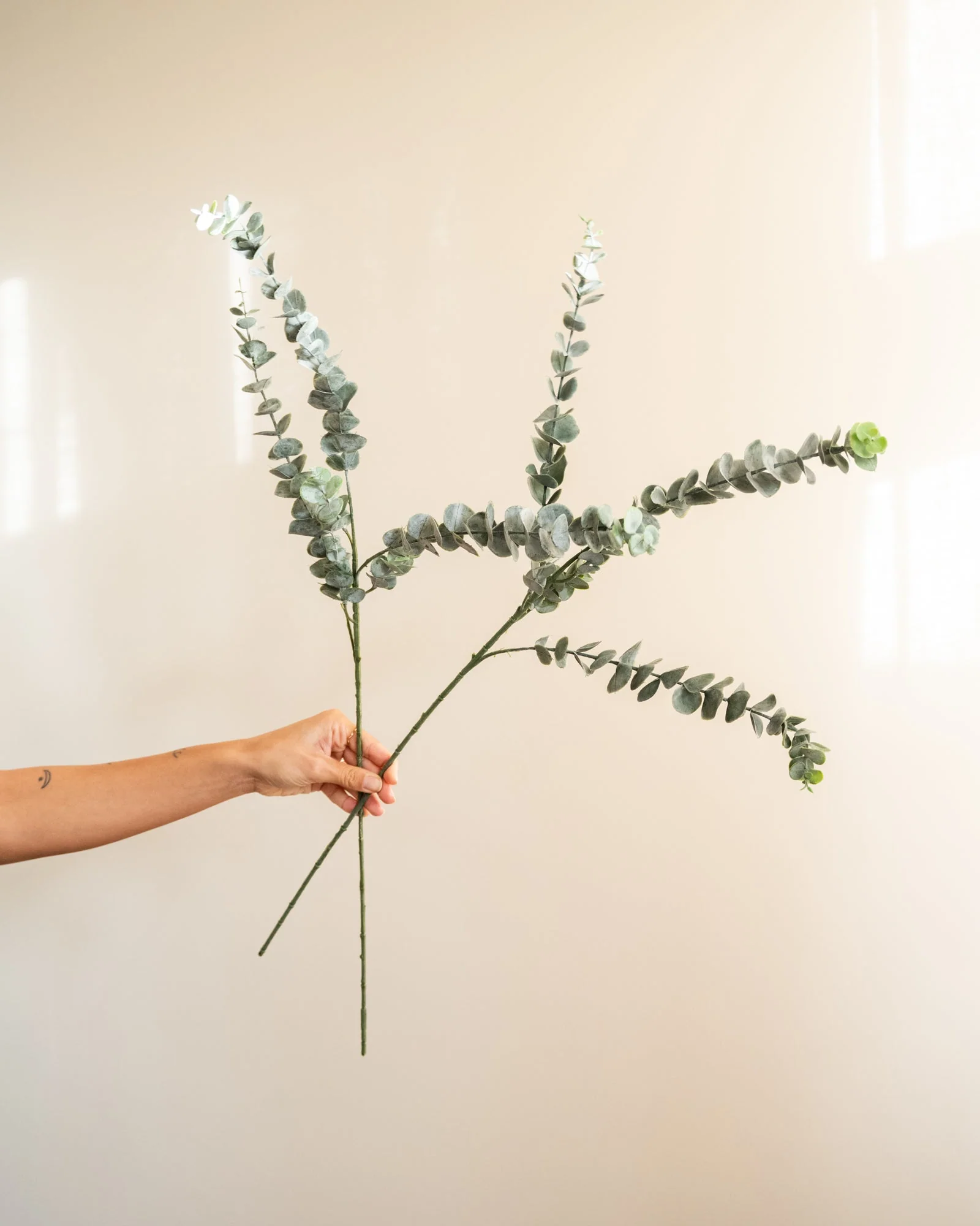 Miniatuur 4