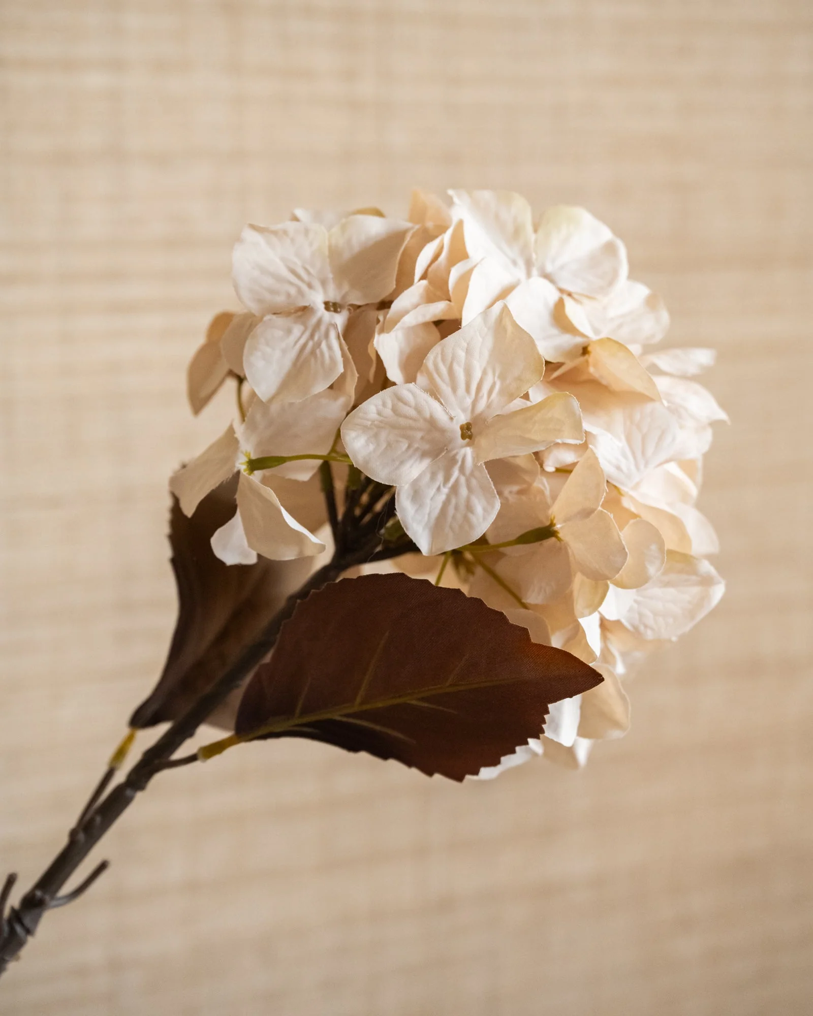 Miniatuur 3