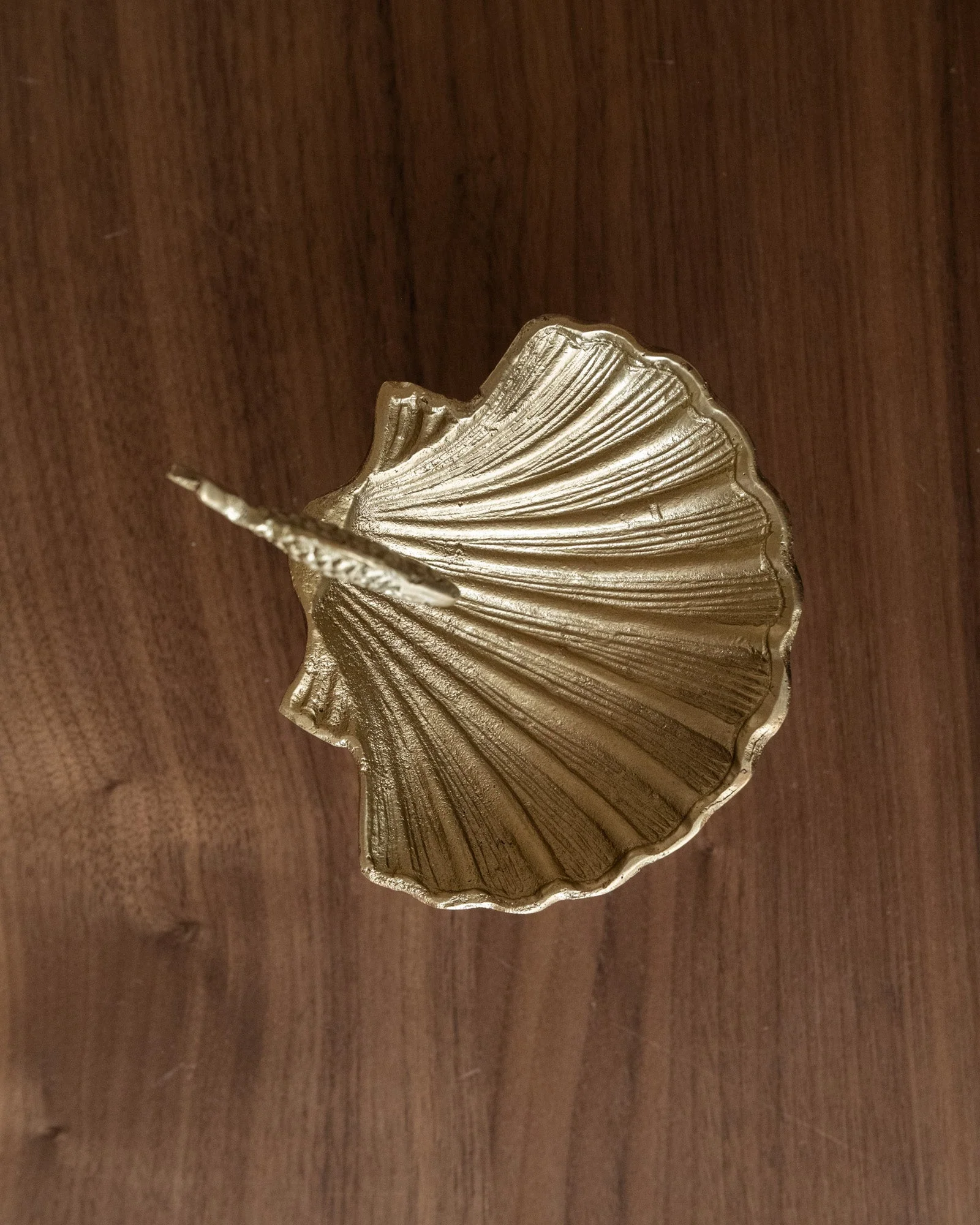 Miniatuur 5