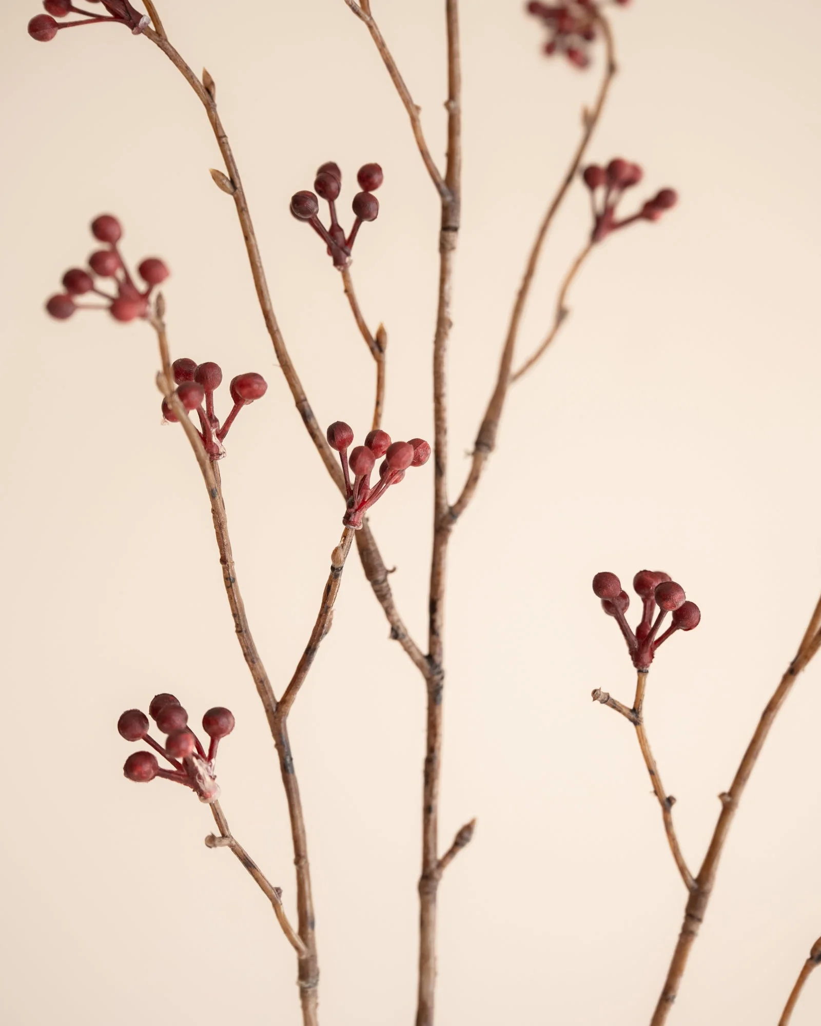 Miniatuur 3