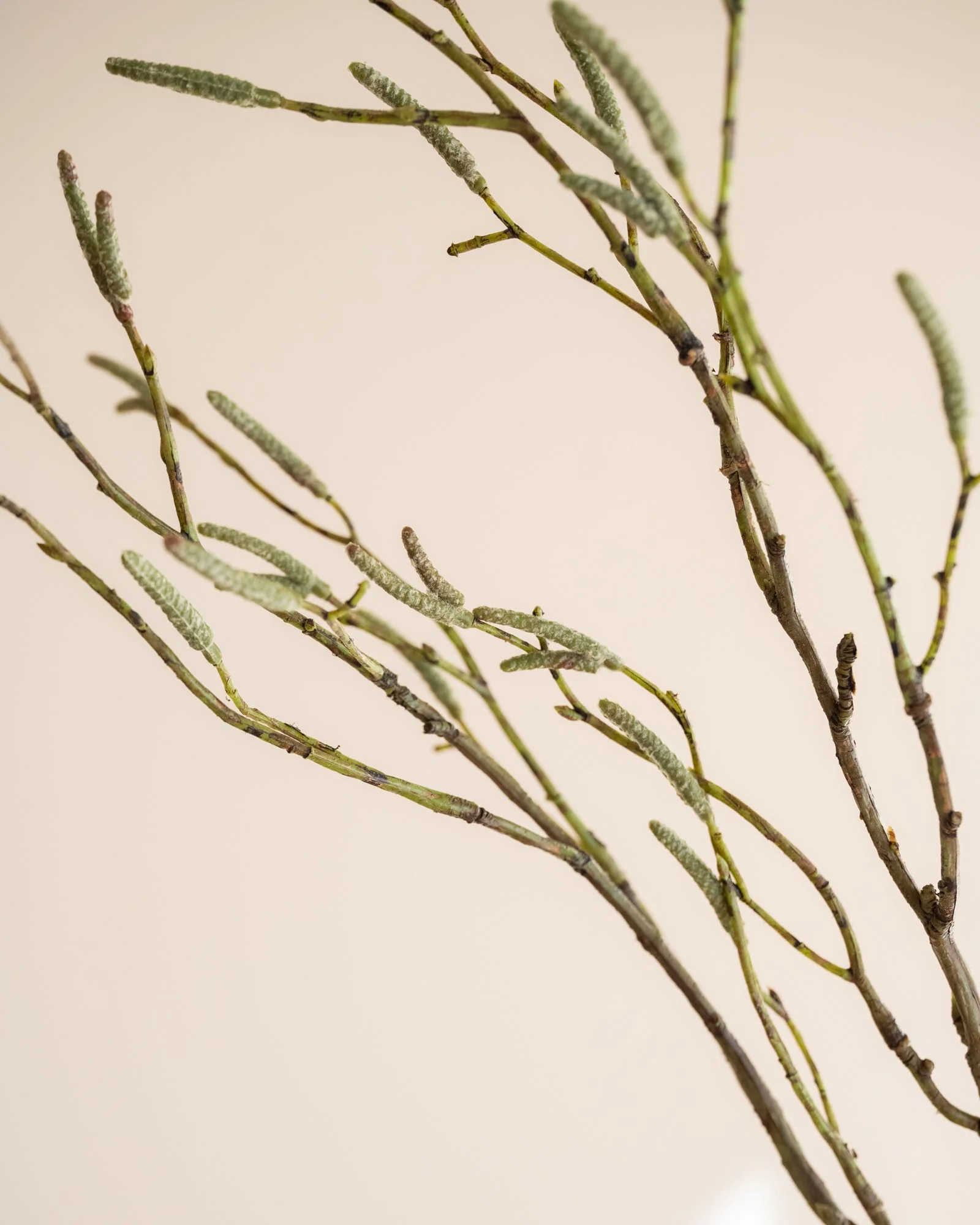 Miniatuur 3