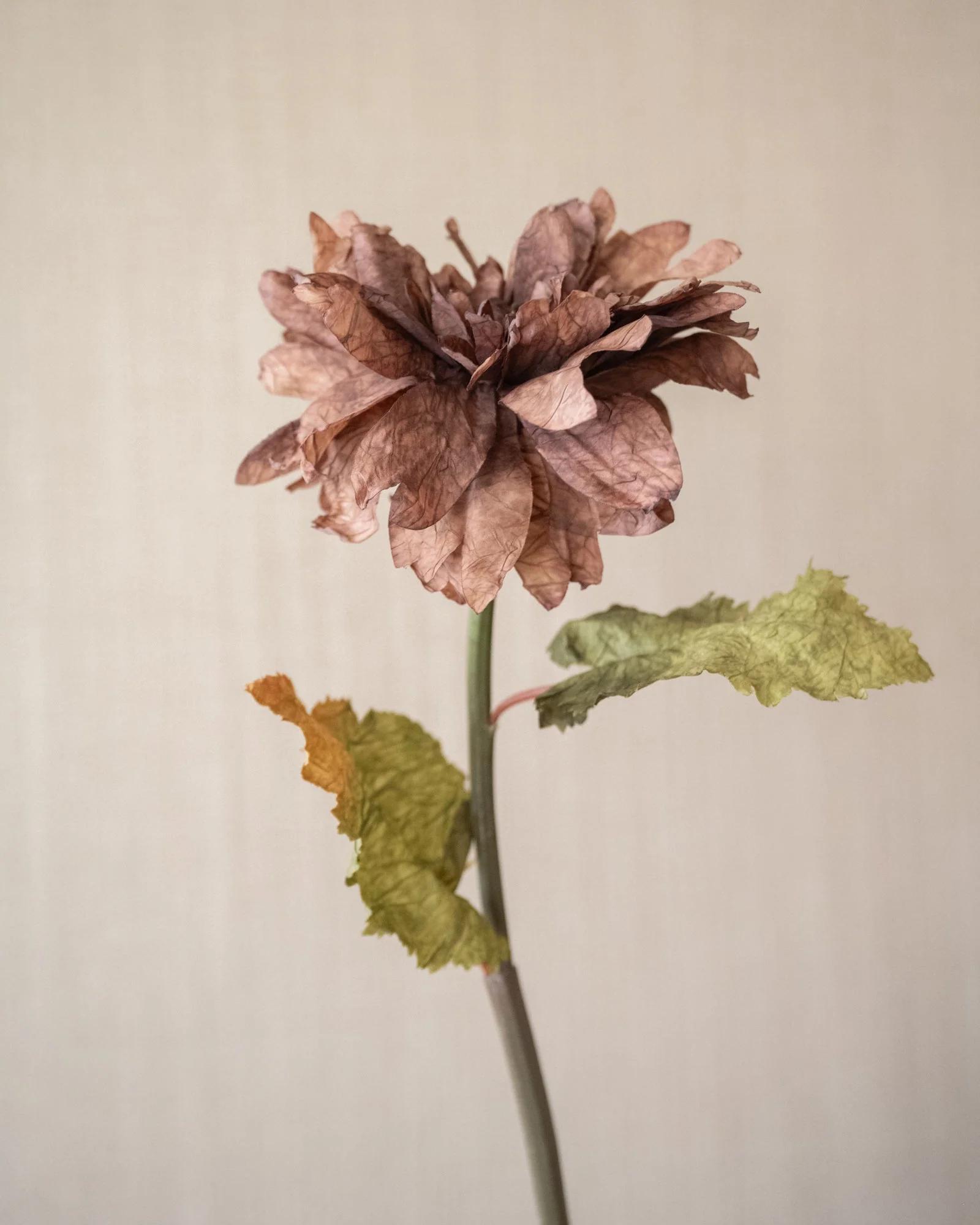 Miniatuur 3