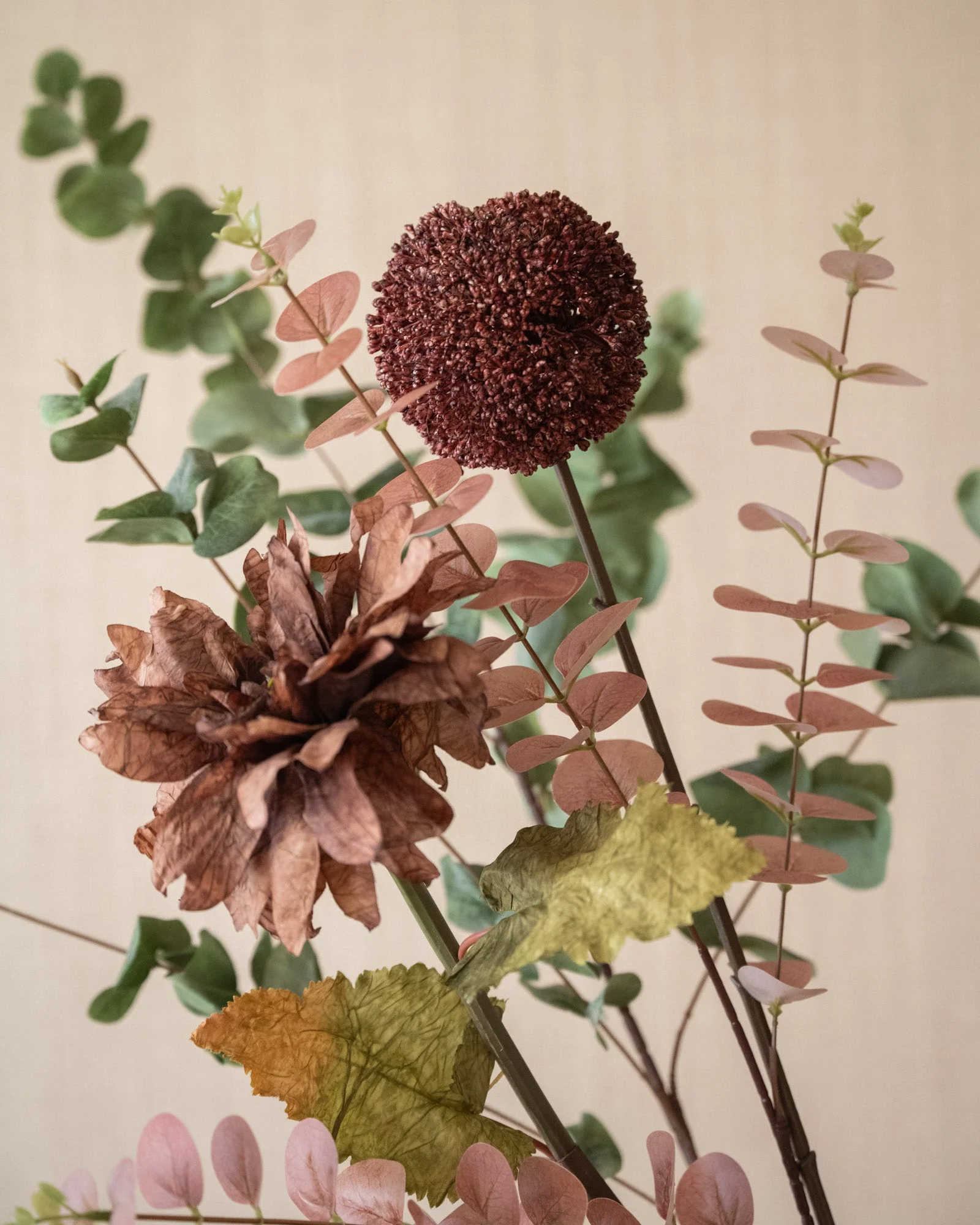Miniatuur 5
