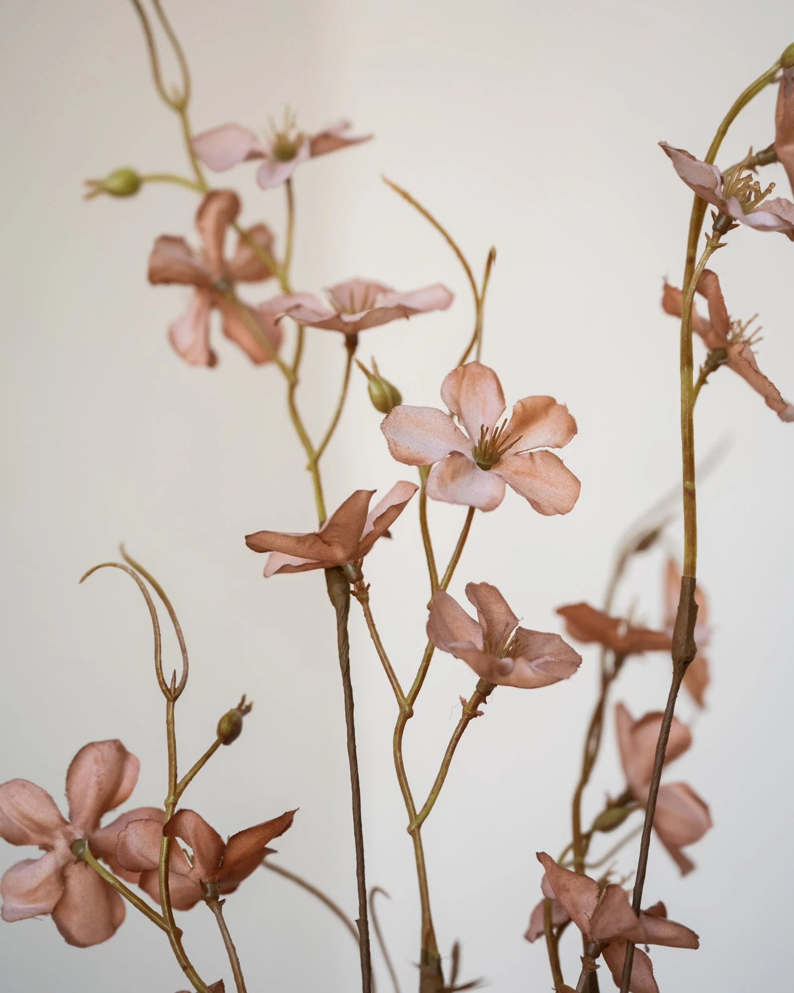 Miniatuur 3