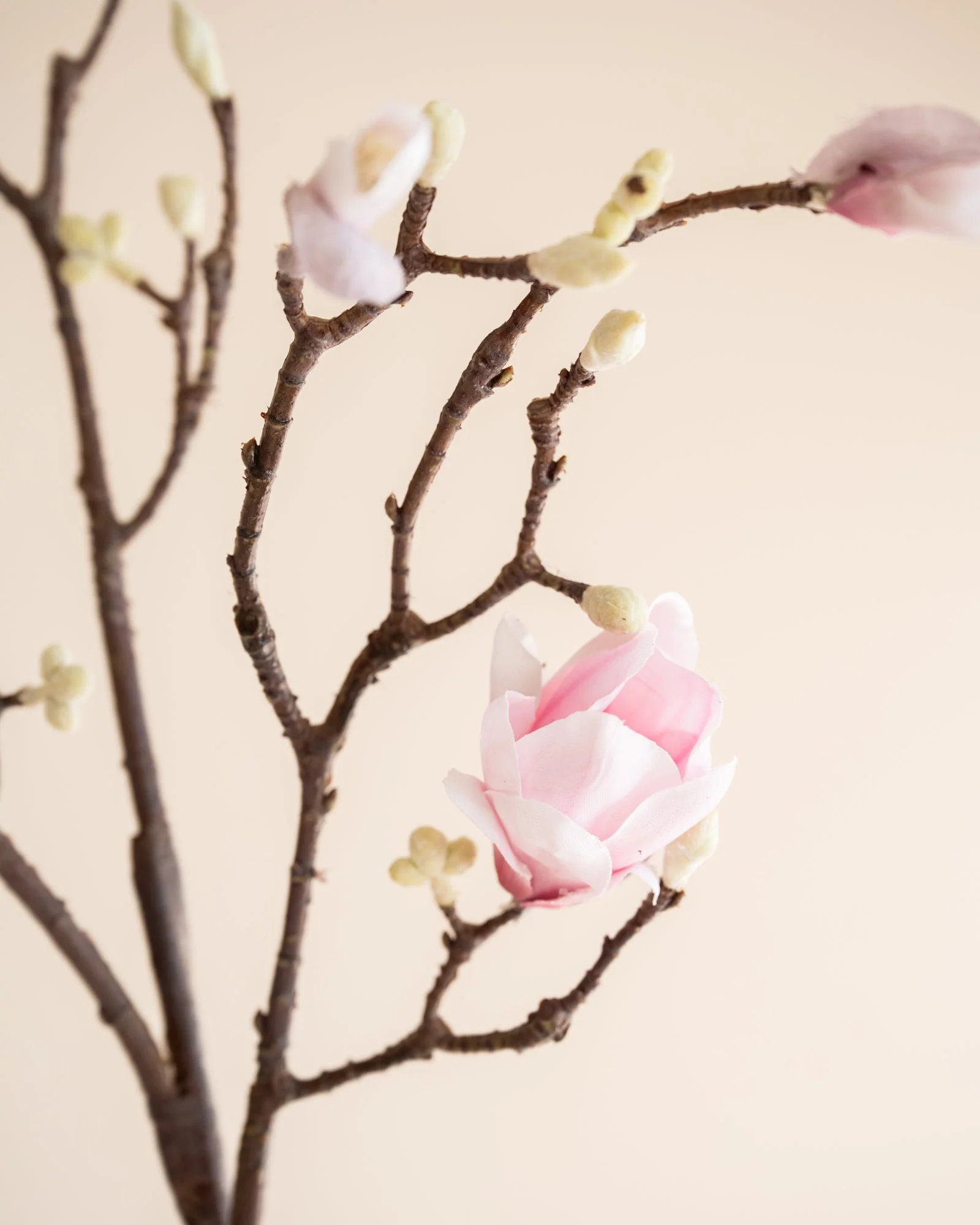 Miniatuur 3