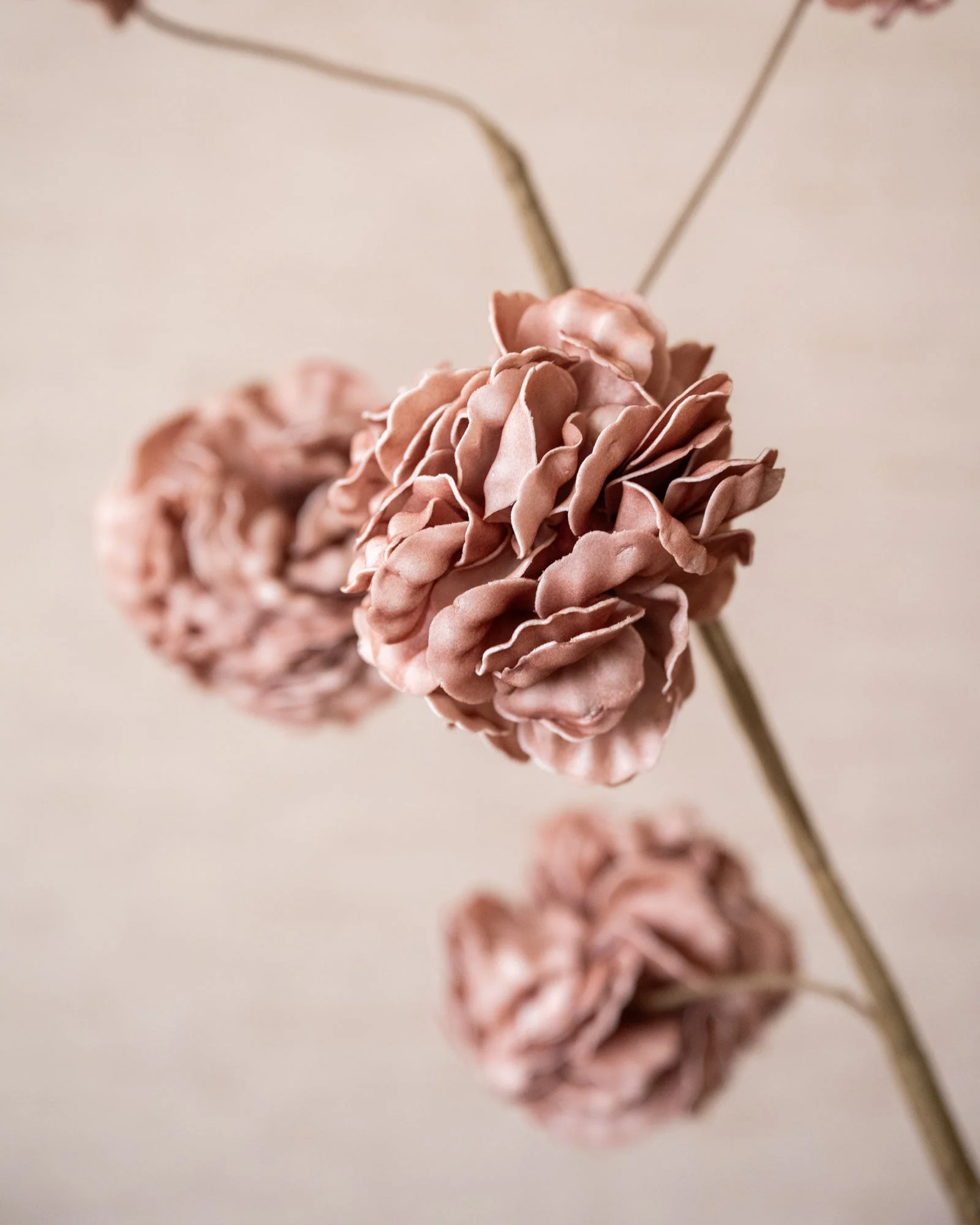Miniatuur 5