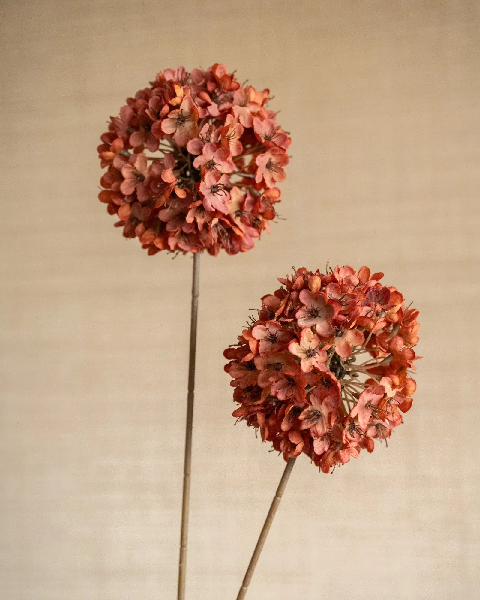 Miniatuur 3