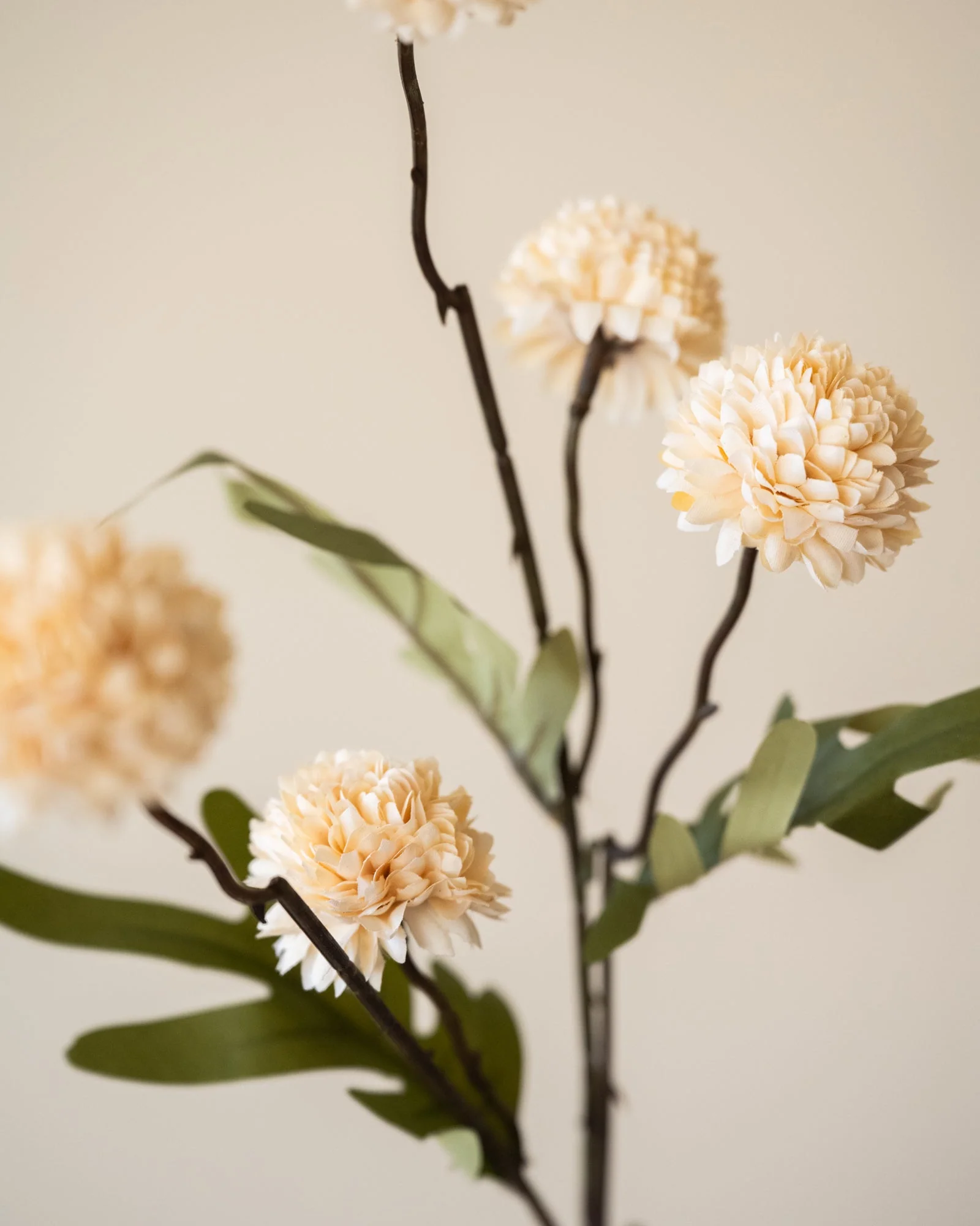 Miniatuur 3