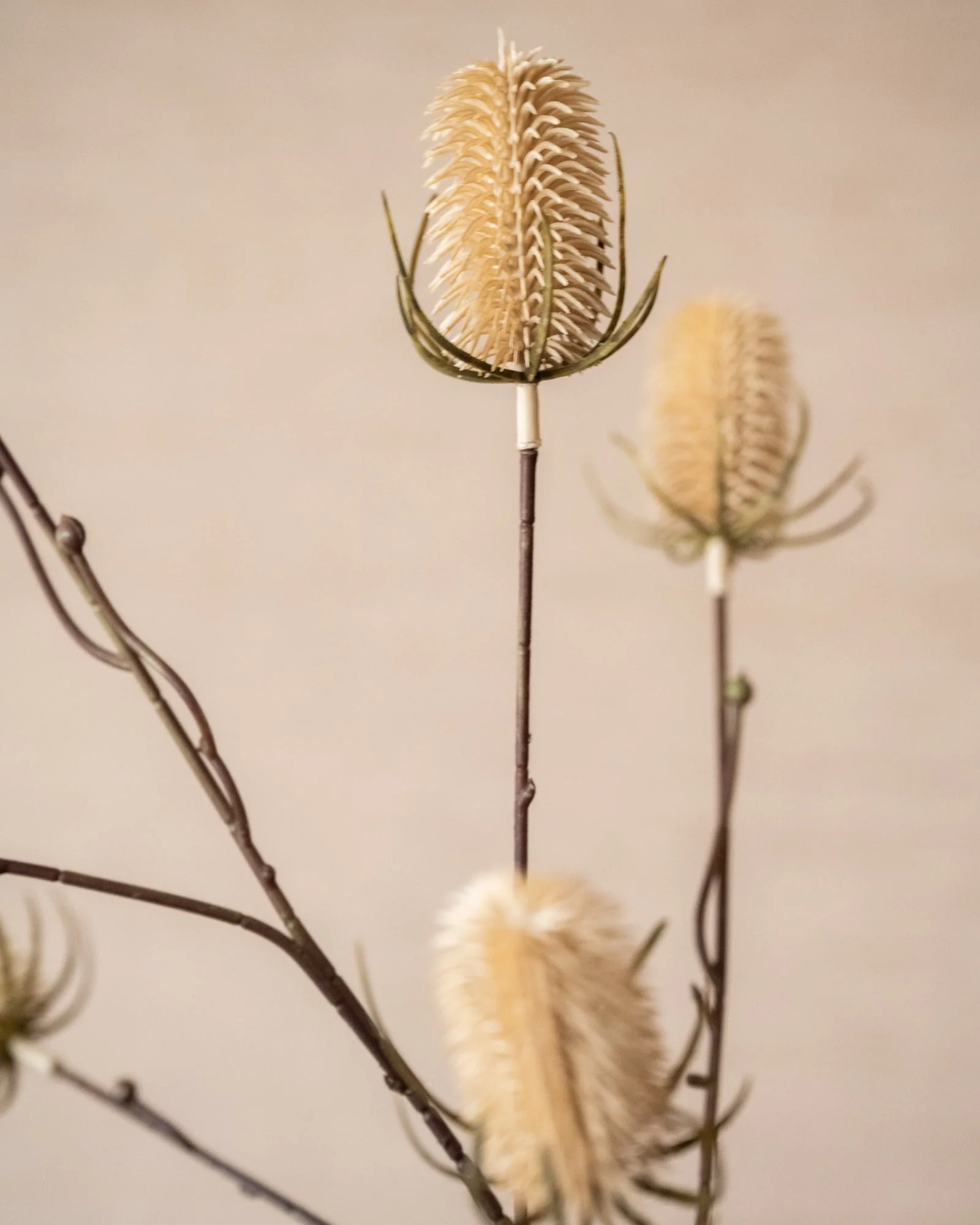 Miniatuur 3