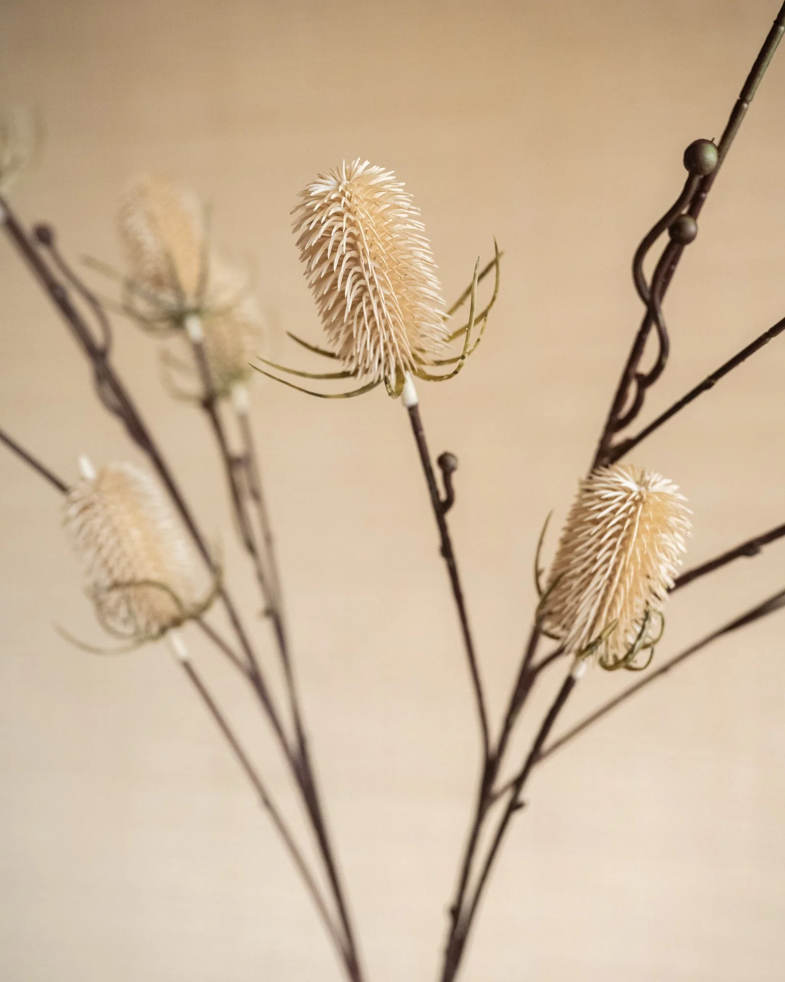 Miniatuur 5