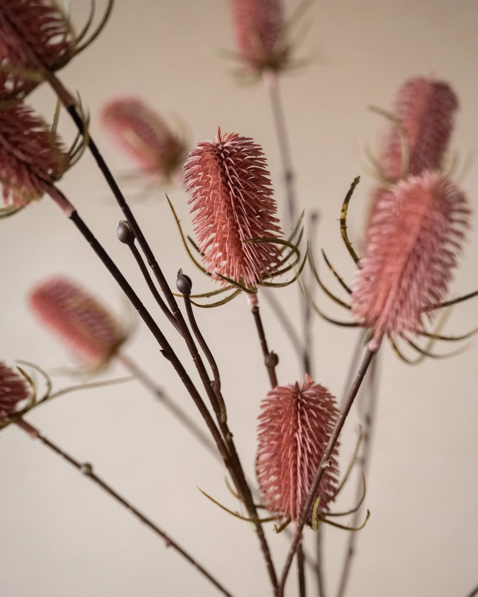 Miniatuur 3